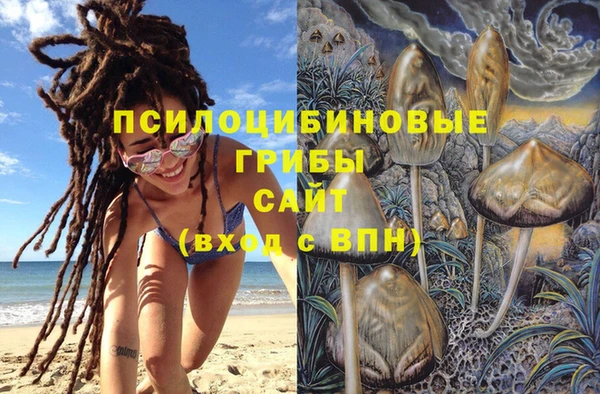 прущий лед Алексин