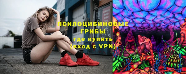 дурь Алзамай