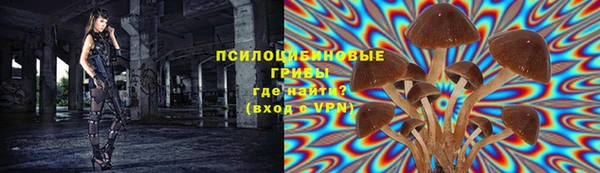 ALPHA PVP Алексеевка