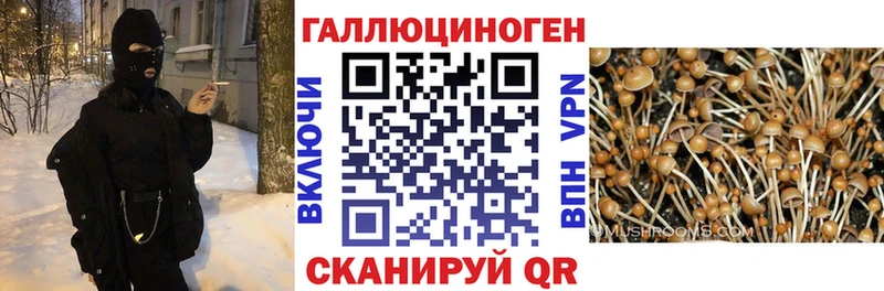 mega онион  Лысьва  Псилоцибиновые грибы прущие грибы 