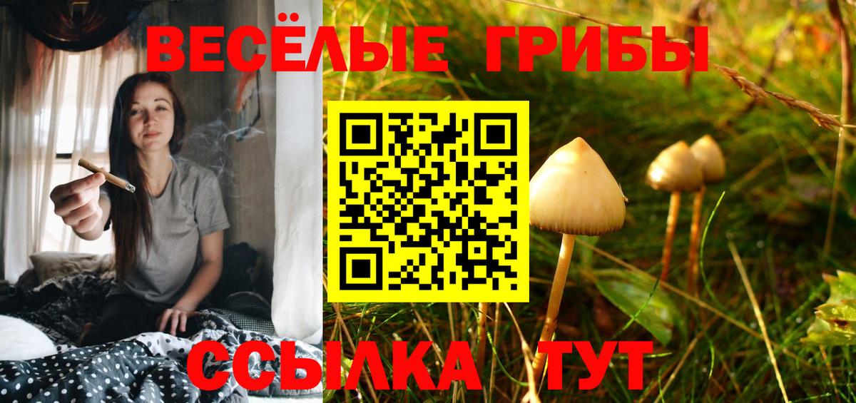 Псилоцибиновые грибы Magic Shrooms  Вход с VPN  Лысьва  Галлюциногенные грибы прущие грибы 